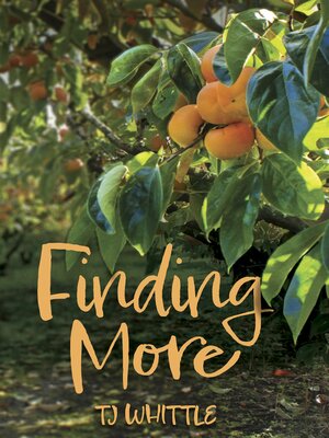 cover image of Finding More